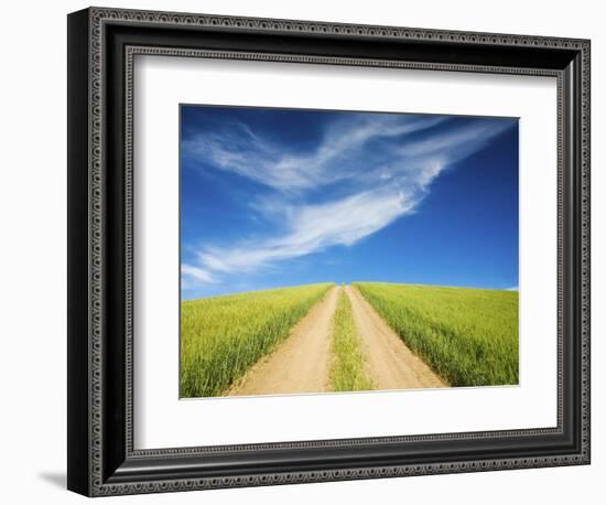 Country Back Road Through Spring Wheat Fields-Terry Eggers-Framed Photographic Print
