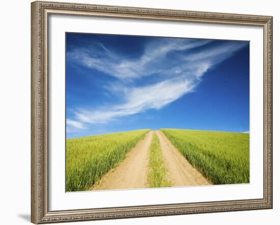 Country Back Road Through Spring Wheat Fields-Terry Eggers-Framed Photographic Print