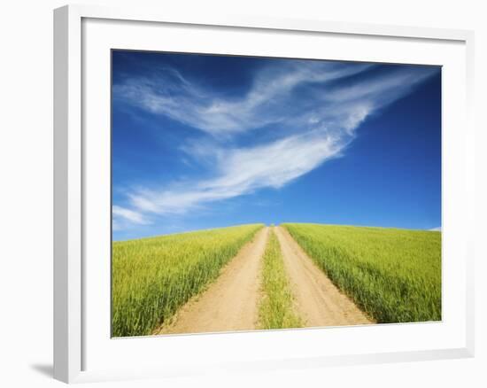 Country Back Road Through Spring Wheat Fields-Terry Eggers-Framed Photographic Print