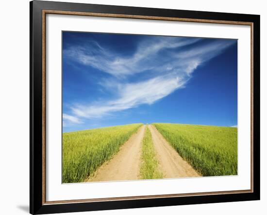 Country Back Road Through Spring Wheat Fields-Terry Eggers-Framed Photographic Print