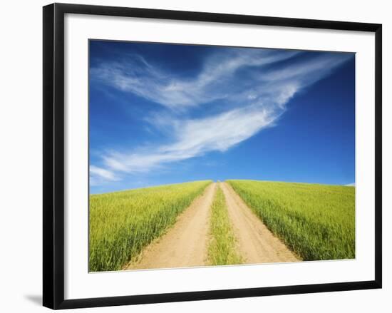 Country Back Road Through Spring Wheat Fields-Terry Eggers-Framed Photographic Print