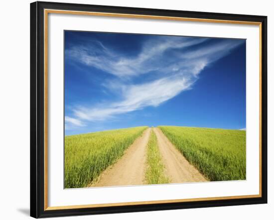 Country Back Road Through Spring Wheat Fields-Terry Eggers-Framed Photographic Print