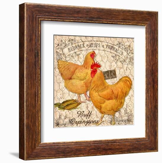 Country Buff Oringtons-null-Framed Giclee Print