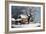 Country Cabin in an American Winter Scene-Currier & Ives-Framed Giclee Print