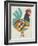 Country Chickens I-Chariklia Zarris-Framed Art Print