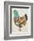 Country Chickens II-Chariklia Zarris-Framed Art Print