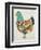 Country Chickens II-Chariklia Zarris-Framed Art Print