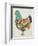 Country Chickens II-Chariklia Zarris-Framed Art Print