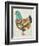 Country Chickens II-Chariklia Zarris-Framed Art Print