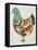 Country Chickens II-Chariklia Zarris-Framed Stretched Canvas