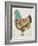 Country Chickens II-Chariklia Zarris-Framed Art Print