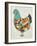 Country Chickens II-Chariklia Zarris-Framed Art Print