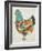 Country Chickens II-Chariklia Zarris-Framed Art Print