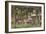 Country Club, Orlando, Florida-null-Framed Premium Giclee Print