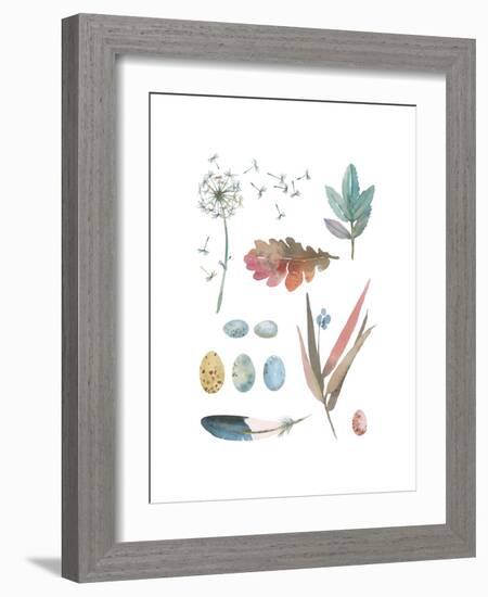 Country Cluster-Sandra Jacobs-Framed Giclee Print