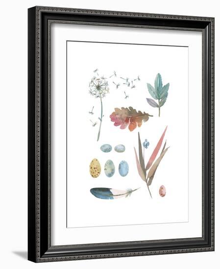 Country Cluster-Sandra Jacobs-Framed Giclee Print