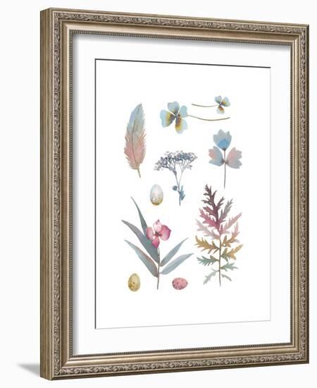 Country Compilation-Sandra Jacobs-Framed Giclee Print