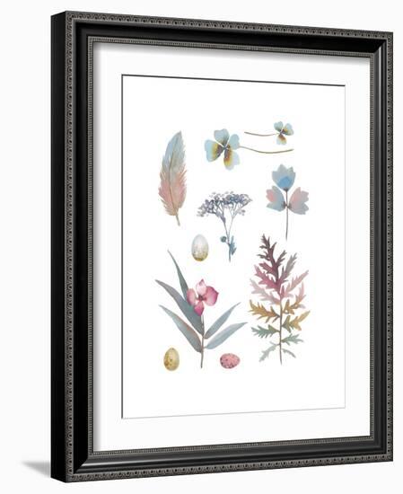 Country Compilation-Sandra Jacobs-Framed Giclee Print