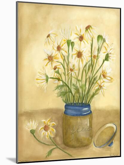 Country Daisy I-Vanna Lam-Mounted Art Print