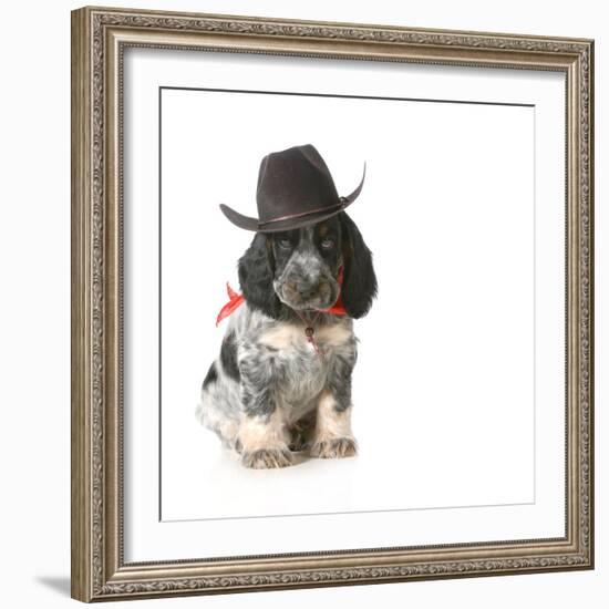 Country Dog - English Cocker Spaniel Puppy Wearing Western Hat Isolated On White Background-Willee Cole-Framed Photographic Print