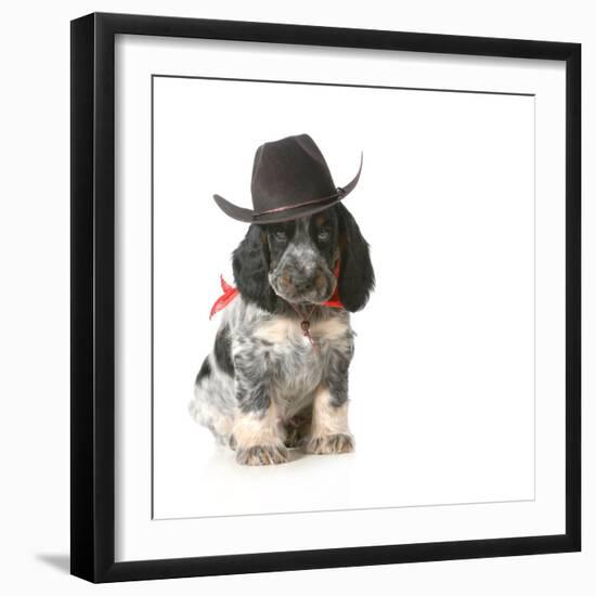 Country Dog - English Cocker Spaniel Puppy Wearing Western Hat Isolated On White Background-Willee Cole-Framed Photographic Print
