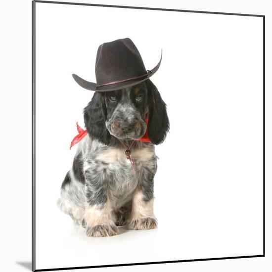 Country Dog - English Cocker Spaniel Puppy Wearing Western Hat Isolated On White Background-Willee Cole-Mounted Photographic Print