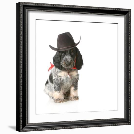 Country Dog - English Cocker Spaniel Puppy Wearing Western Hat Isolated On White Background-Willee Cole-Framed Photographic Print