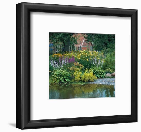 Country Flower Garden-null-Framed Art Print