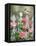 Country Garden-William Vanderdasson-Framed Premier Image Canvas