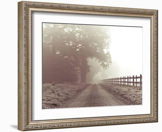 Country Haze-Assaf Frank-Framed Giclee Print