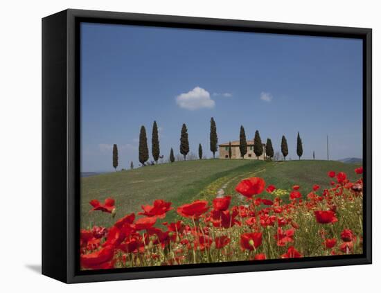 Country Home and Poppies, Near Pienza, Tuscany, Italy, Europe-Angelo Cavalli-Framed Premier Image Canvas