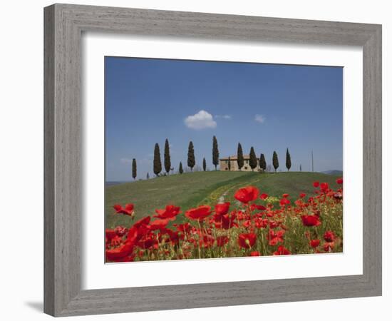 Country Home and Poppies, Near Pienza, Tuscany, Italy, Europe-Angelo Cavalli-Framed Photographic Print