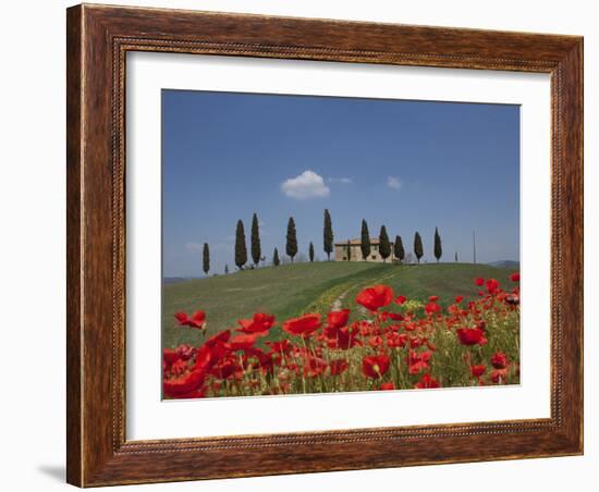 Country Home and Poppies, Near Pienza, Tuscany, Italy, Europe-Angelo Cavalli-Framed Photographic Print