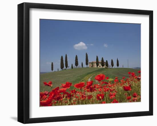 Country Home and Poppies, Near Pienza, Tuscany, Italy, Europe-Angelo Cavalli-Framed Photographic Print