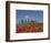 Country Home and Poppies, Near Pienza, Tuscany, Italy, Europe-Angelo Cavalli-Framed Photographic Print