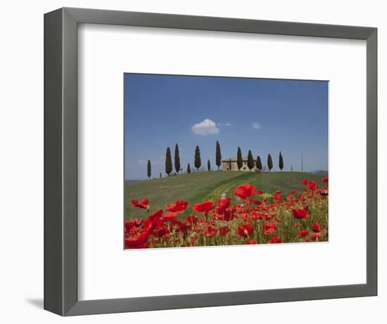 Country Home and Poppies, Near Pienza, Tuscany, Italy, Europe-Angelo Cavalli-Framed Photographic Print