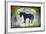 Country Horse I-LightBoxJournal-Framed Giclee Print