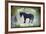 Country Horse I-LightBoxJournal-Framed Giclee Print