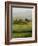 Country House, Il Belvedere, San Quirico D'Orcia, Val D'Orcia, Siena Province, Tuscany, Italy-Pitamitz Sergio-Framed Photographic Print