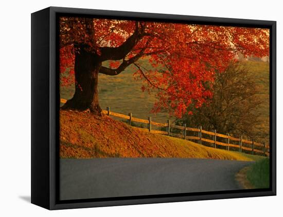 Country Lane, Faquier County, Virginia, USA-Kenneth Garrett-Framed Premier Image Canvas