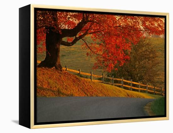 Country Lane, Faquier County, Virginia, USA-Kenneth Garrett-Framed Premier Image Canvas