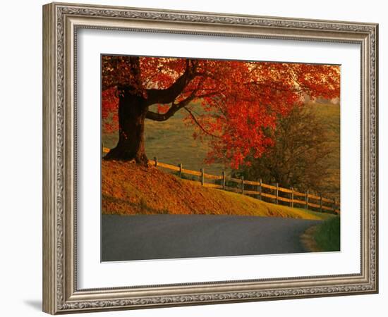 Country Lane, Faquier County, Virginia, USA-Kenneth Garrett-Framed Photographic Print