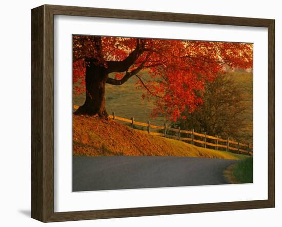 Country Lane, Faquier County, Virginia, USA-Kenneth Garrett-Framed Photographic Print