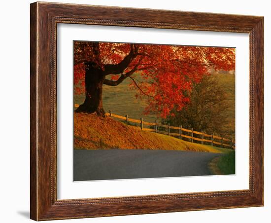 Country Lane, Faquier County, Virginia, USA-Kenneth Garrett-Framed Photographic Print