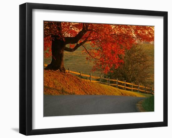 Country Lane, Faquier County, Virginia, USA-Kenneth Garrett-Framed Photographic Print