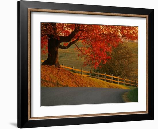 Country Lane, Faquier County, Virginia, USA-Kenneth Garrett-Framed Photographic Print