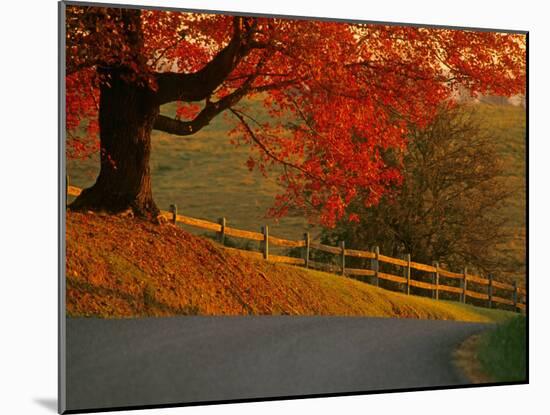 Country Lane, Faquier County, Virginia, USA-Kenneth Garrett-Mounted Photographic Print