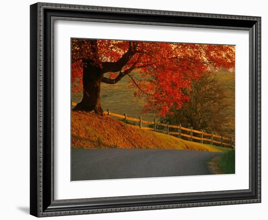 Country Lane, Faquier County, Virginia, USA-Kenneth Garrett-Framed Photographic Print