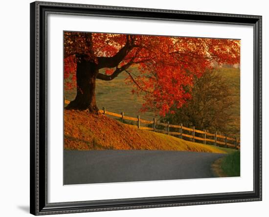 Country Lane, Faquier County, Virginia, USA-Kenneth Garrett-Framed Photographic Print