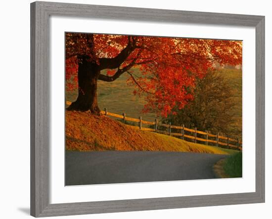 Country Lane, Faquier County, Virginia, USA-Kenneth Garrett-Framed Photographic Print